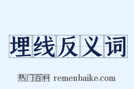 埋线反义词是什么意思的图片